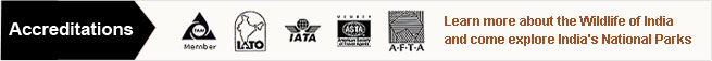 Accreditations about Wildlife of India accreditations about wildlife of india