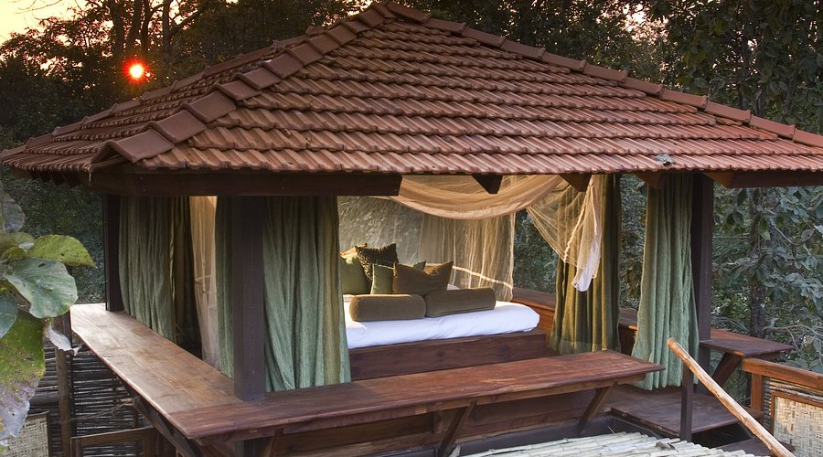 jungle resorts