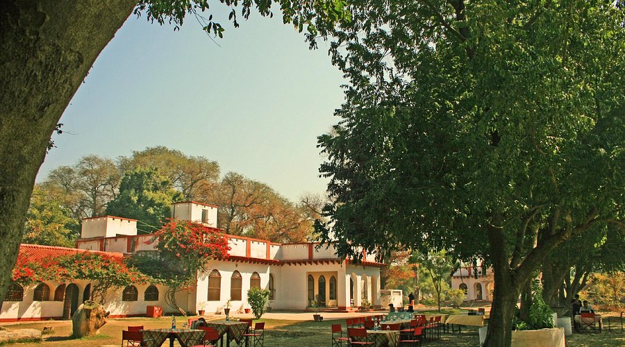 jungle resorts