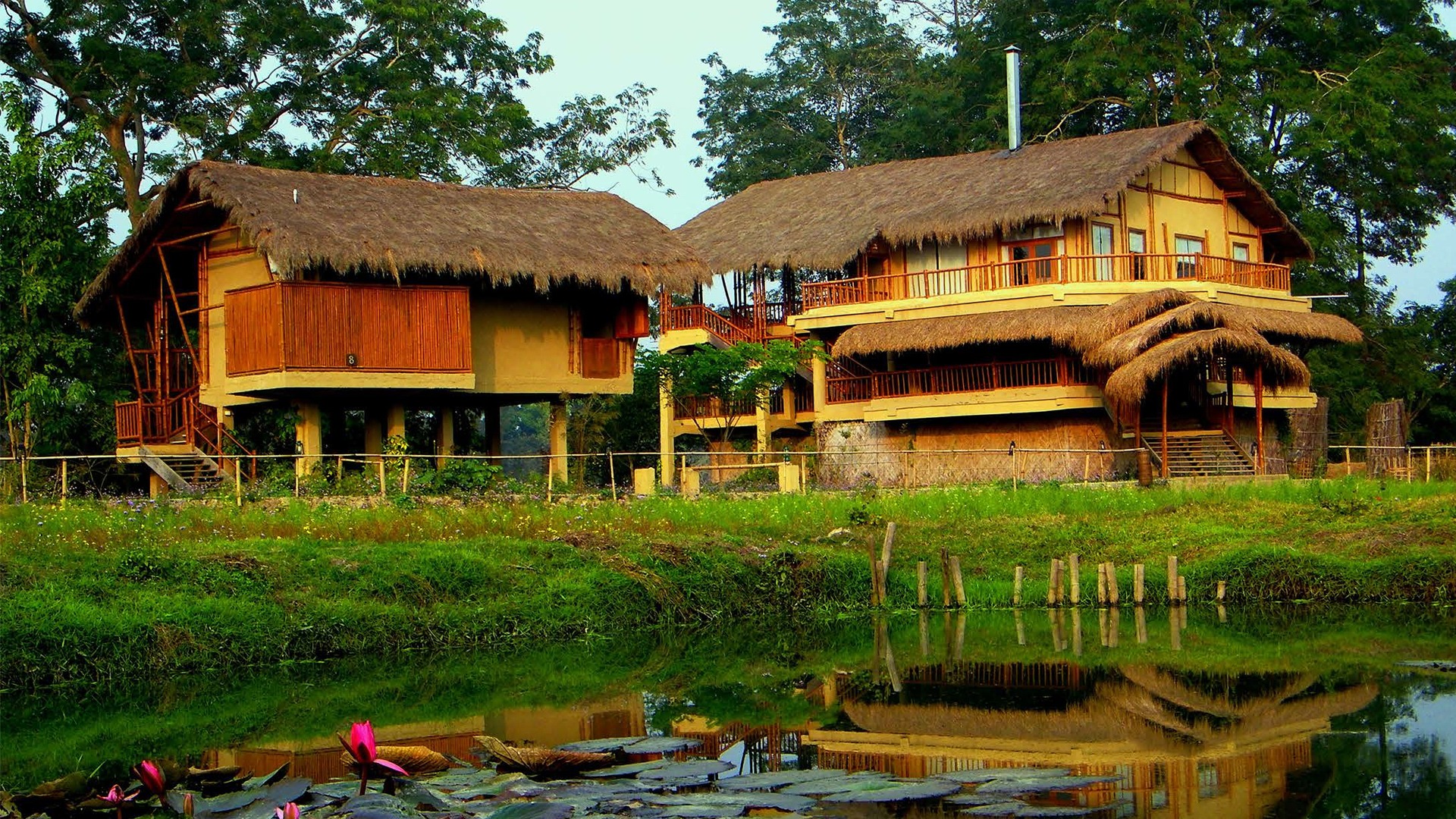 jungle resorts