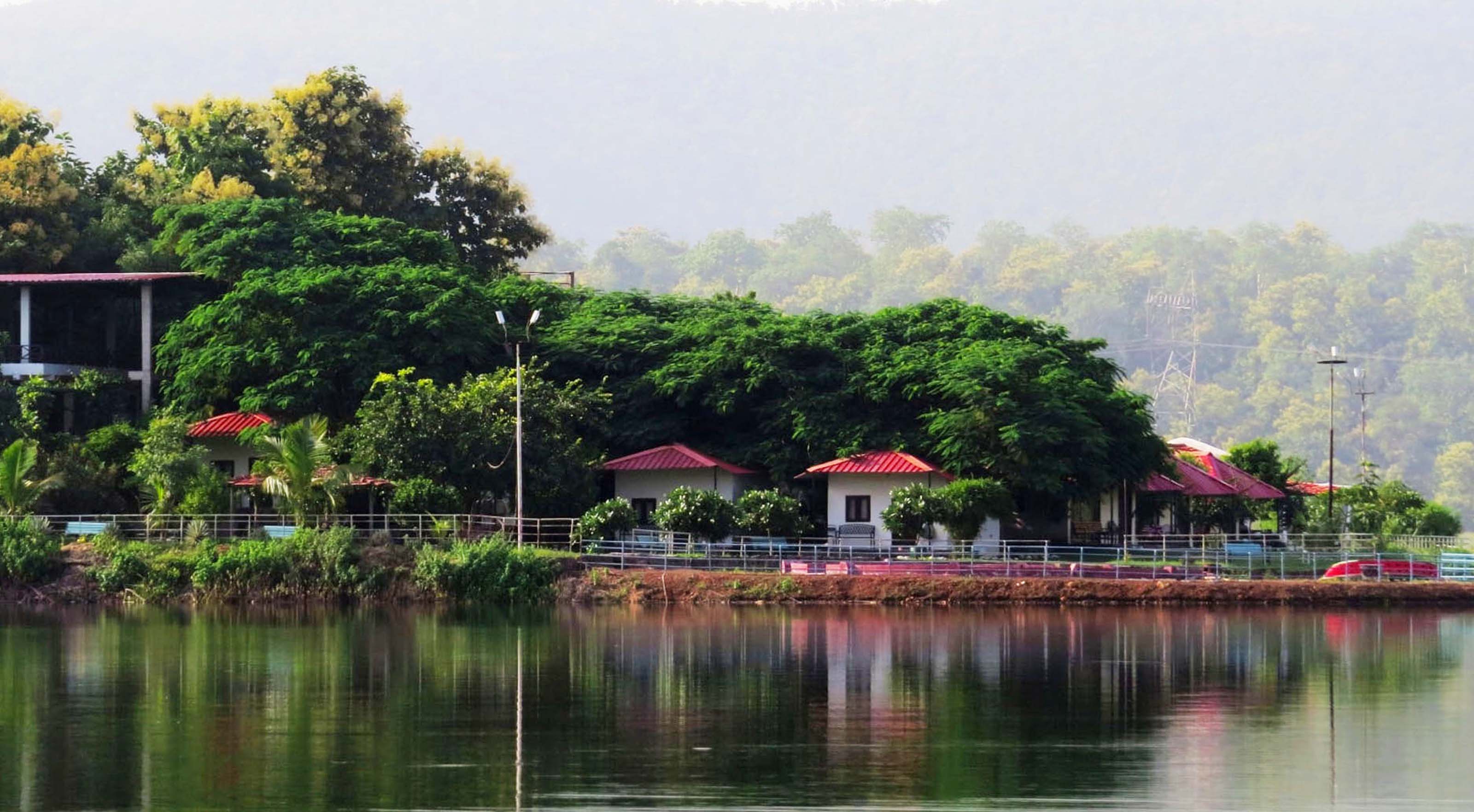 jungle resorts