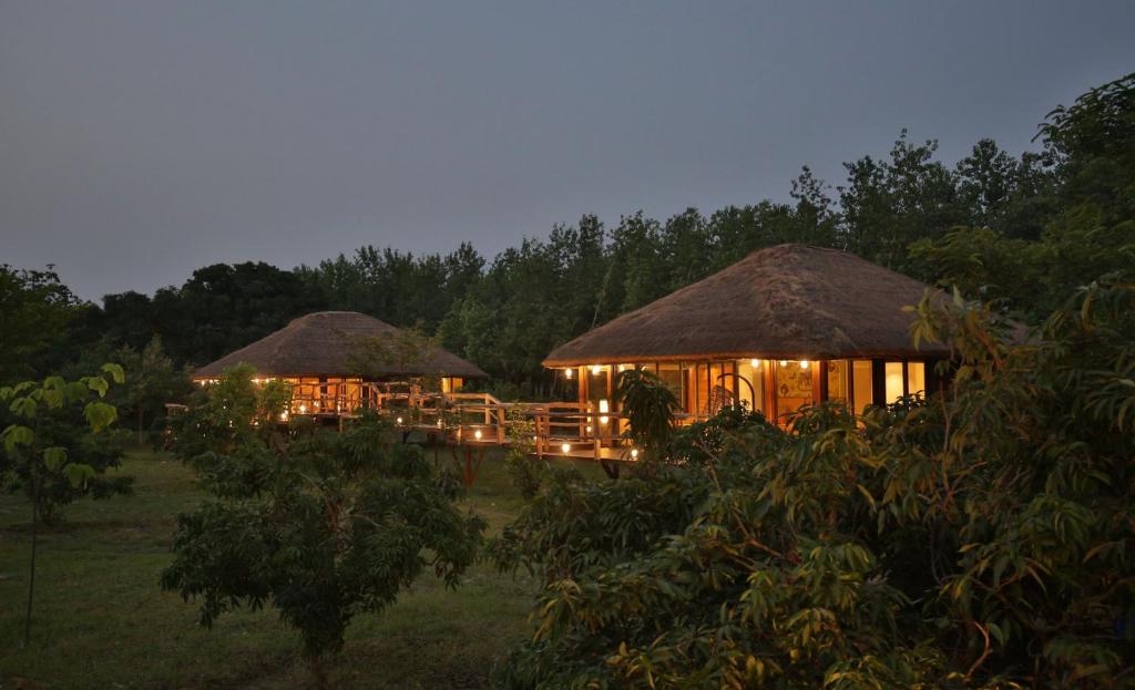 jungle resorts