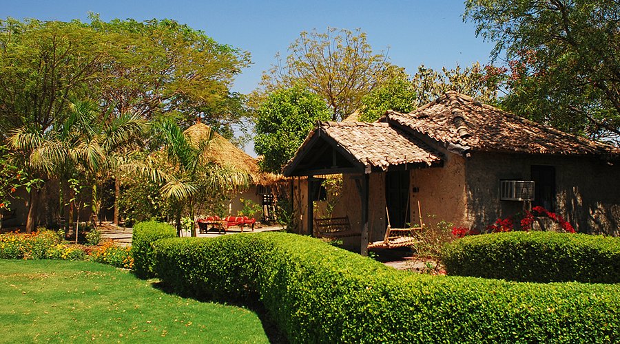 jungle resorts