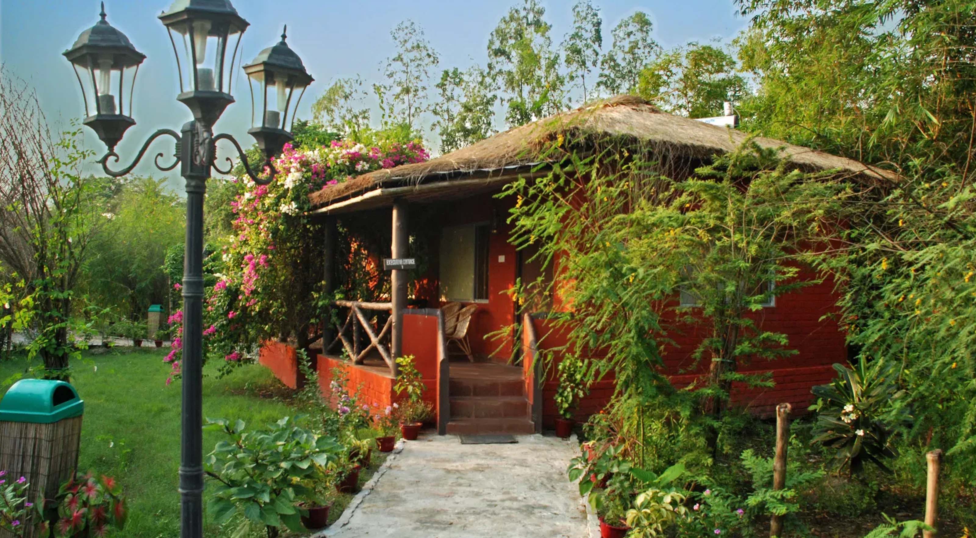 jungle resorts