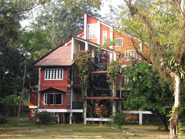 wild grass resort